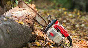 Chainsaw cutting into a log on the ground